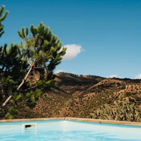 Finca Serrato - Olivia - Image 4