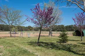 Le Petit Galla, country apartment - Image 2