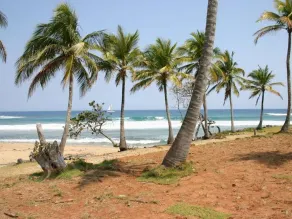 Surfcamp Hooked Cabarete - Image 5