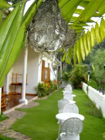 Water Garden Hotel - Image 3