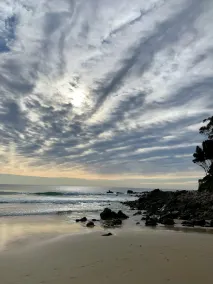 South Pacific Narrawallee - Image 5