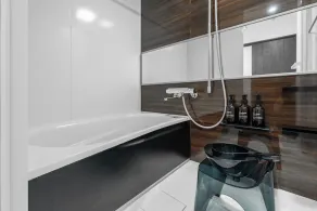 Luxia 503 - Image 4