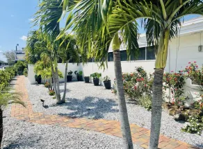Siesta Inn Sarasota - Indian Beach - Image 4