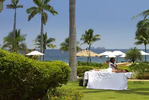 Beachfront Palms Villa on Flamingo Beach - PRIVATE Home at 5 Star Resort! - Image 2