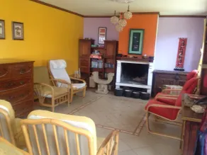 Escape the city noise in 5 minutes in a cozy green house. - Image 2