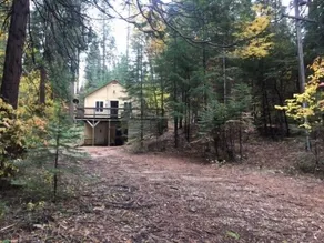Beautiful, Peaceful Family and Pet Friendly Cabin in Woods. Sleeps 10. - Image 5