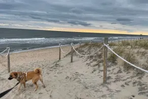 Cute 2 soveværelser / 2 badeværelser på Oceanfront parti 6 sovepladser! - Image 2