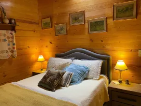 Quaint cabin in foothills of the Ozarks - quick access to Fayetteville and NWA!  - Image 5