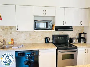 Blue Mountain Suites - Image 5