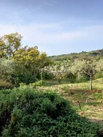 Etna y Taormina - Casa CoS - Image 3