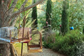 Eden Vale Inn - Image 3