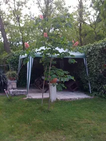 Ferienwohnung in Umag mit Klimaanlage, W-LAN (4222-1) - Image 4