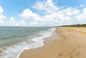 3 BR Beach Bungalow Minutes to the Beach! Dogs Allowed! 30 + days - Image 5