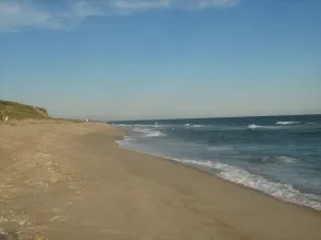 Lovely Oceanfront Cottage Plus 1BR Cabin on Beautiful, Pristine Beach - Image 4