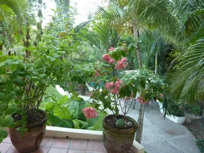 Villa De Vientos: Artistically Designed Private 4BR/BA Villa - Image 5