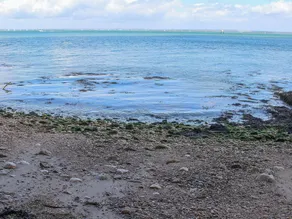 Boende med 7 sovrum i Wootton Bridge, near Ryde - Image 2