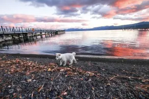 PRIX SPÉCIAL // Retraite 5 étoiles au lac Tahoe - Image 3