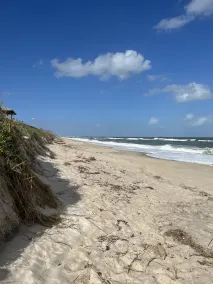 REDUCED PRICE!3 BR CANAL FRONT w/river/ocean access & beach!! Bring boat! - Image 5