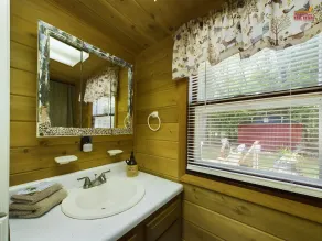 Hemlock Cove-Ostrander Lakefront Cabin-Boats-In the Woods - Image 4