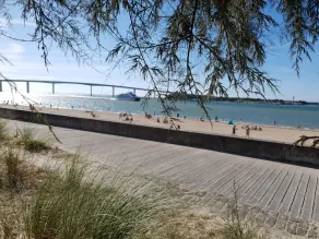 Detached house near the beach and the forest - Image 4