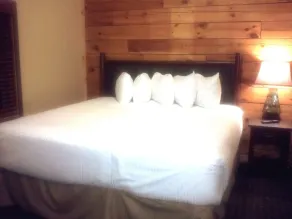 Wisconsin Dells Resort Cottage Free Kayaks, Mini Golf, Pools, No Resort Fee - Image 5