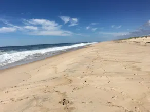 SPACIOUS HOME - WALK TO OCEAN BEACH- SOUTH OF MONTAUK HIGHWAY - Image 3