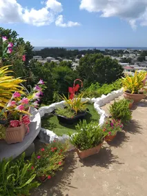 Hillside view and a pool - Image 5