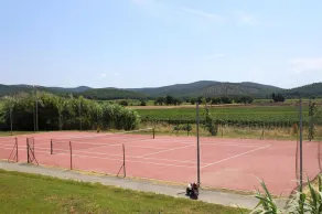 Apartment in Campiglia Marittima - Image 3