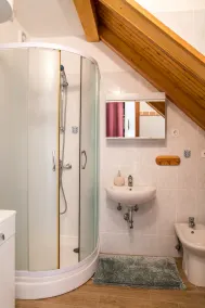 Renovated Istrian house in the woods - Image 3