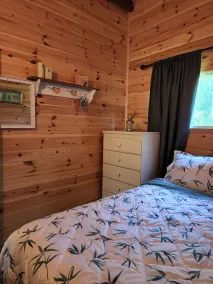 The cozy cabin… 12 minutes to Grand Beach! - Image 5