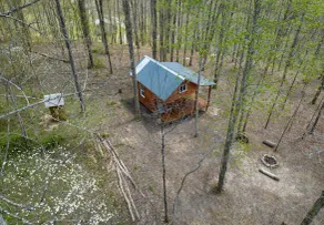 Dogwood Cabin - Off Grid - Image 4