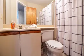 1Br Ski-in, Ski-Out at Okemo Mountain Lodge condo - Image 2