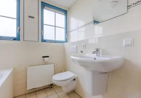 Traditional Villa With Dishwasher on Texel Near the Sea - Image 3