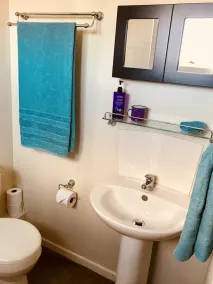 Cosy Private Bedroom, en-suite bathroom in a charming home in Observatory - Image 3