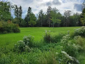 Modern, Amish-Built Farmhouse, 3 bedrooms sleeps 6 - Image 4