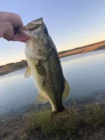 Rustic Texas Ranch Lodge Sleeps 45~Private Lake~Exotic Wildlife~Group Getaways - Image 5