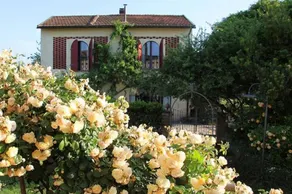 Lovely Barn with Private Pool near San Gimignano, between Florence and Siena. - Image 5