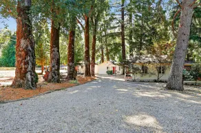 Rouge Cobb Mountain Hotel - Cabin 3 - Image 5