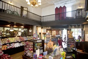Disney Hotel Cheyenne - Image 4