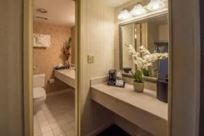 Studio w Spa Sauna at Lakeview Golf Resort - Image 5