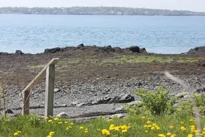 Near Roosevelt Home-Across short bridge from Lubec,Maine - Image 3