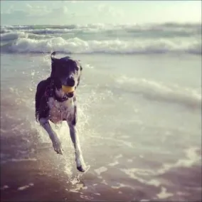 Zeby's Beach Break - located at Mount Coolum - Image 2