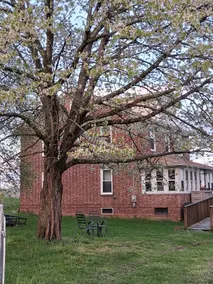RIVERFRONT: HITS, Bard, Woodstock, Kingston from spacious enchanting 3 BR house - Image 2