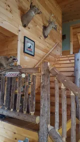 Loon Lake Adirondack Lodge. Kæledyr og familievenlig. - Image 3