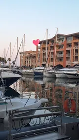 Superb top floor apartment in a 4**** spa complex right on the waterfront overlooking yacht harbour of Frejus,Alps and Mediterranean Sea. Garage, big pool and free WI-FI - Image 5