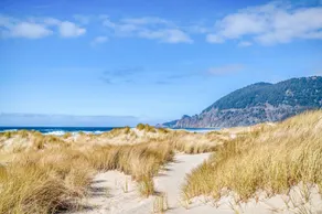 Single Level Oceanfront Manzanita Home with Modern Touches, Dog Friendly! - Image 3