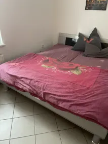 Small vacation apartment in Bad Lauchstädt - Image 3