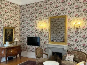 Luxury 5-star chateau bed and breakfast with private pool, services and housekeeping staff - Image 2