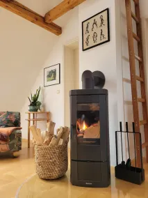 Apartment \"Weitblick\" Greiz in the Vogtland for max. 6 people  - Image 2