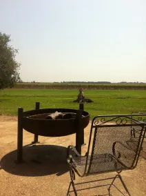 beautiful lodge in a relaxed country setting! - Image 3
